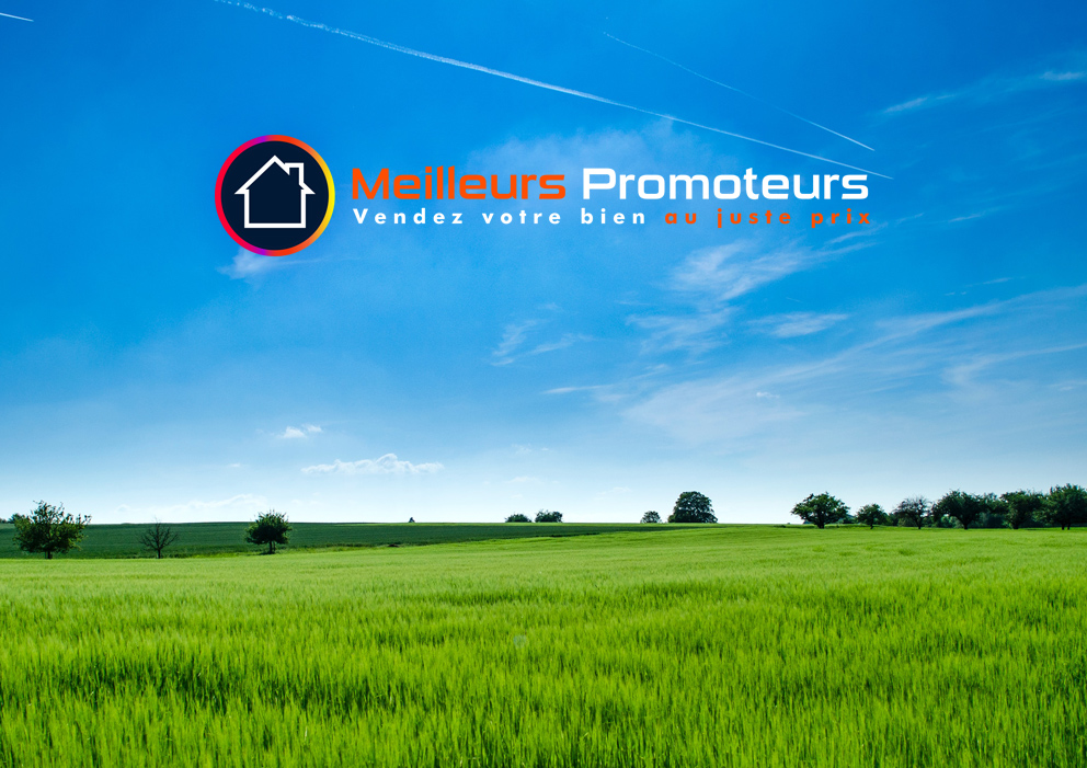 site logo promoteur bleu vert