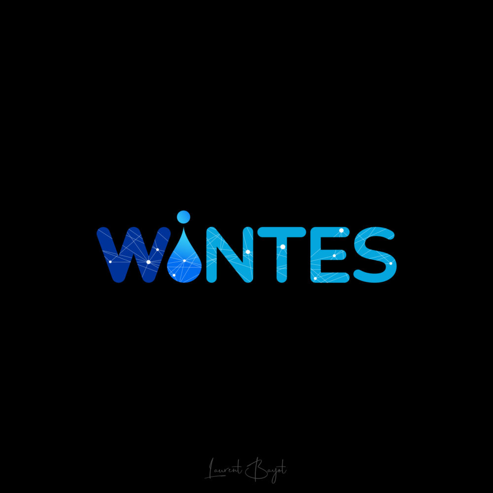 logo bleu Montpellier